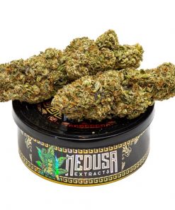 Buy Rockstar OG Tuna Can Medusa Extracts Online in Canada - Nupep Shrooms