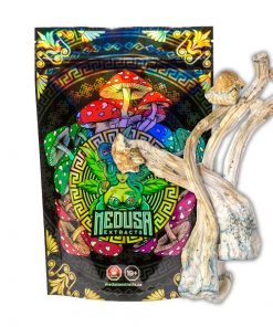 Buy Tri-Colour Ecuadorian Magic Mushrooms Medusa Extracts Online in Canada - Nupep Shrooms