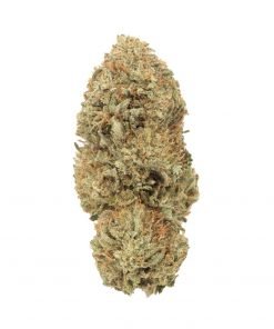 Buy Acapulco Gold Sativa Cannabis Weed Deadhead Chemist Online in Canada - Nupep Shrooms