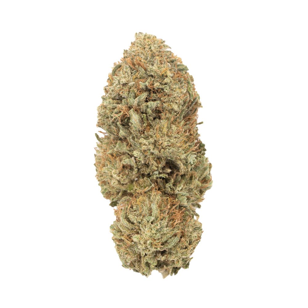 Buy Acapulco Gold Sativa Cannabis Weed Deadhead Chemist Online in Canada - Nupep Shrooms Buy Acapulco Gold Sativa Cannabis Weed Deadhead Chemist Online in Canada - Nupep Shrooms