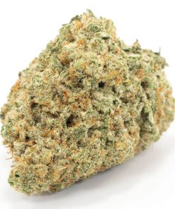 Buy Afghan Hammer Indica Cannabis Weed Deadhead Chemist Online in Canada - Nupep Shrooms
