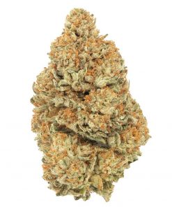 Buy Afghan Kush Indica Cannabis Weed Deadhead Chemist Online in Canada - Nupep Shrooms