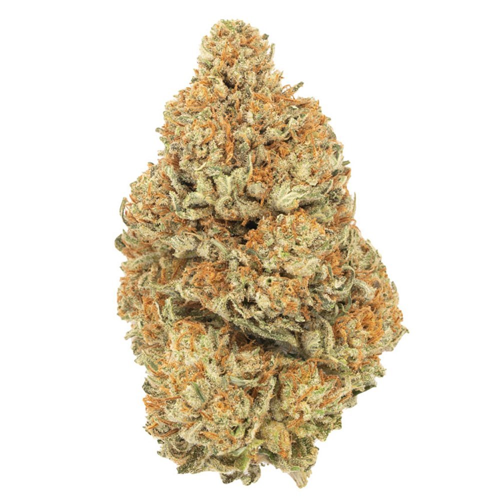 Buy Afghan Kush Indica Cannabis Weed Deadhead Chemist Online in Canada - Nupep Shrooms Buy Afghan Kush Indica Cannabis Weed Deadhead Chemist Online in Canada - Nupep Shrooms