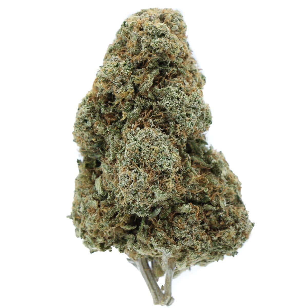 Buy Ancient Alien Hybrid Cannabis Weed Deadhead Chemist Online in Canada - Nupep Shrooms Buy Ancient Alien Hybrid Cannabis Weed Deadhead Chemist Online in Canada - Nupep Shrooms