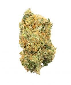 Buy Comatose Indica Cannabis Weed Deadhead Chemist Online in Canada - Nupep Shrooms