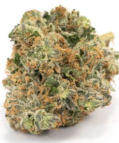 Buy Cotton Candy Kush Sativa Cannabis Weed Deadhead Chemist Online in Canada - Nupep Shrooms