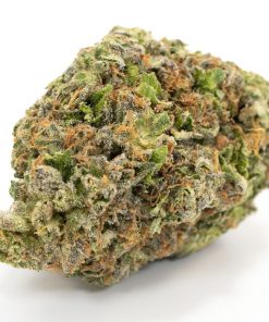 Buy Don Pablo Indica Cannabis Weed Deadhead Chemist Online in Canada - Nupep Shrooms