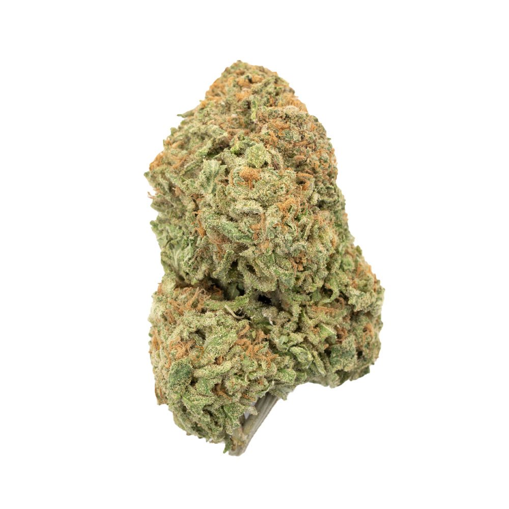Buy Durban Poison Sativa Cannabis Weed Deadhead Chemist Online in Canada - Nupep Shrooms Buy Durban Poison Sativa Cannabis Weed Deadhead Chemist Online in Canada - Nupep Shrooms
