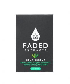 Buy Sour Scout Shatter (Faded Cannabis Co) Online in Canada - Nupep Shrooms