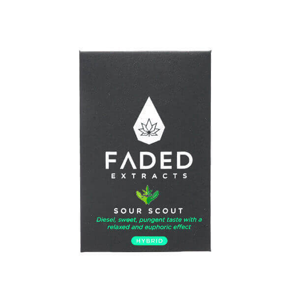 Buy Sour Scout Shatter (Faded Cannabis Co) Online in Canada - Nupep Shrooms Buy Sour Scout Shatter (Faded Cannabis Co) Online in Canada - Nupep Shrooms