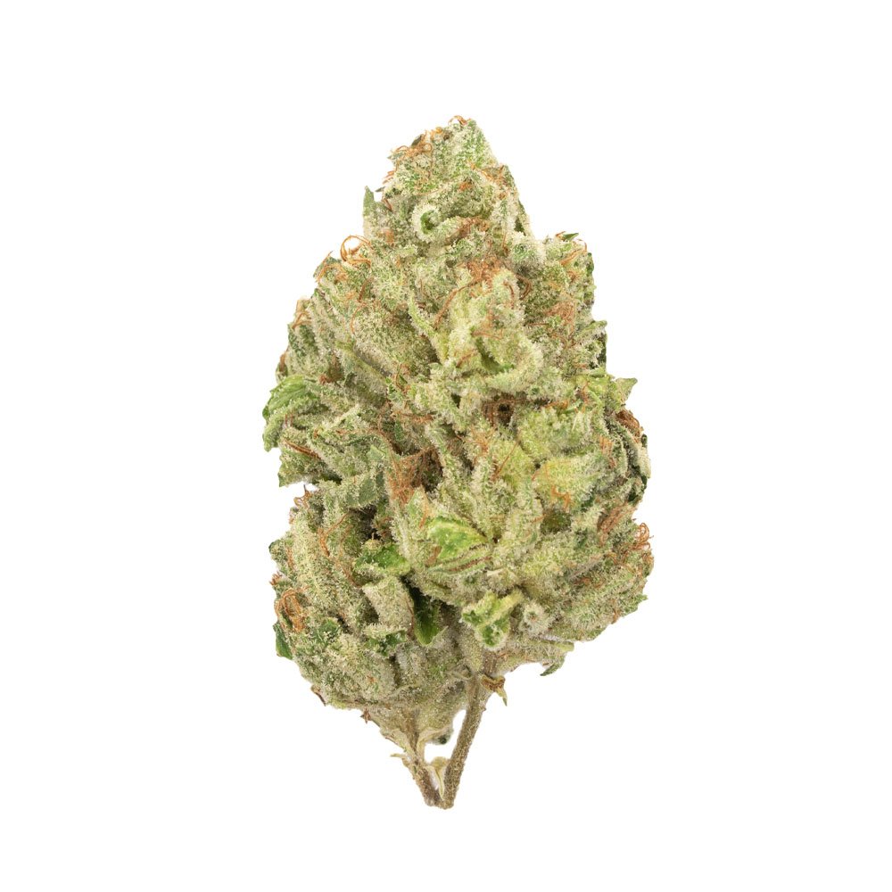 Buy Gorilla Bomb Sativa Cannabis Weed Deadhead Chemist Online in Canada - Nupep Shrooms Buy Gorilla Bomb Sativa Cannabis Weed Deadhead Chemist Online in Canada - Nupep Shrooms