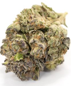 Buy Grand Daddy Purple Indica Cannabis Weed Deadhead Chemist Online in Canada - Nupep Shrooms