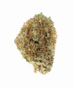 Buy Grape Stomper Hybrid Cannabis Weed Deadhead Chemist Online in Canada - Nupep Shrooms