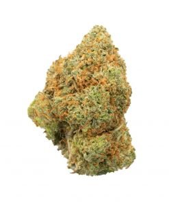 Buy Headband Hybrid Cannabis Weed Deadhead Chemist Online in Canada - Nupep Shrooms