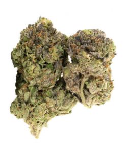 Buy Island Pink Kush Indica Cannabis Weed Deadhead Chemist Online in Canada - Nupep Shrooms