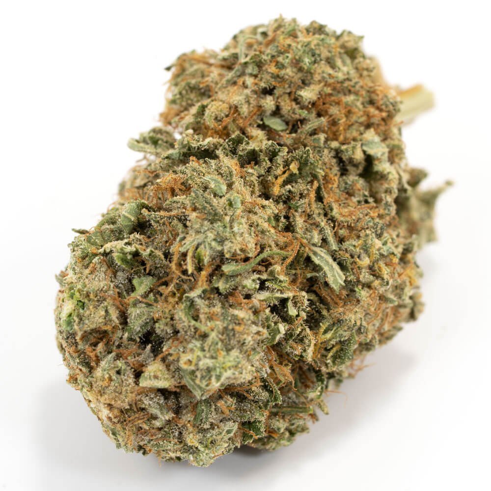 Buy Jack Diesel Sativa Cannabis Weed Deadhead Chemist Online in Canada - Nupep Shrooms Buy Jack Diesel Sativa Cannabis Weed Deadhead Chemist Online in Canada - Nupep Shrooms