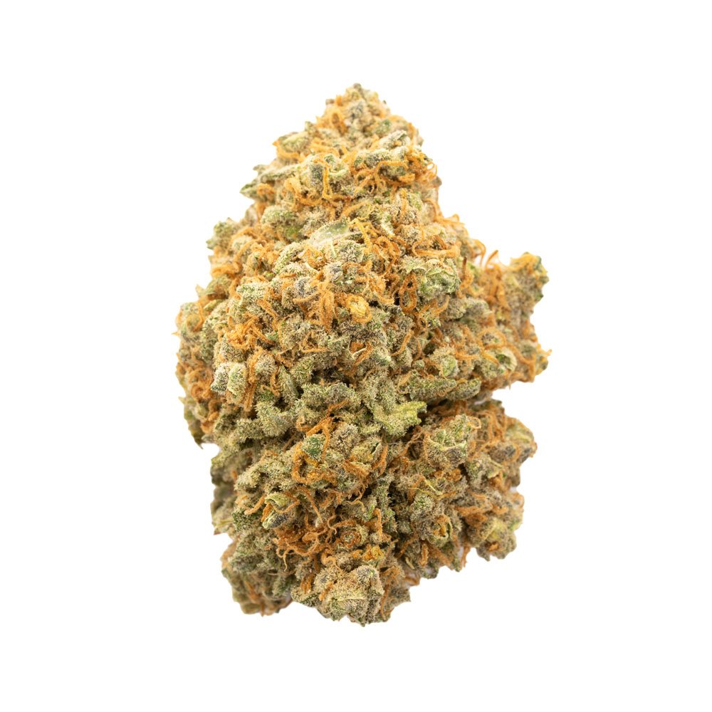 Buy Jamaican Haze Sativa Cannabis Weed Deadhead Chemist Online in Canada - Nupep Shrooms Buy Jamaican Haze Sativa Cannabis Weed Deadhead Chemist Online in Canada - Nupep Shrooms