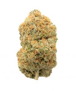 Buy Lambs Bread Sativa Cannabis Weed Deadhead Chemist Online in Canada - Nupep Shrooms