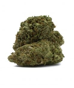 Buy Laughing Buddha Sativa Cannabis Weed Deadhead Chemist Online in Canada - Nupep Shrooms