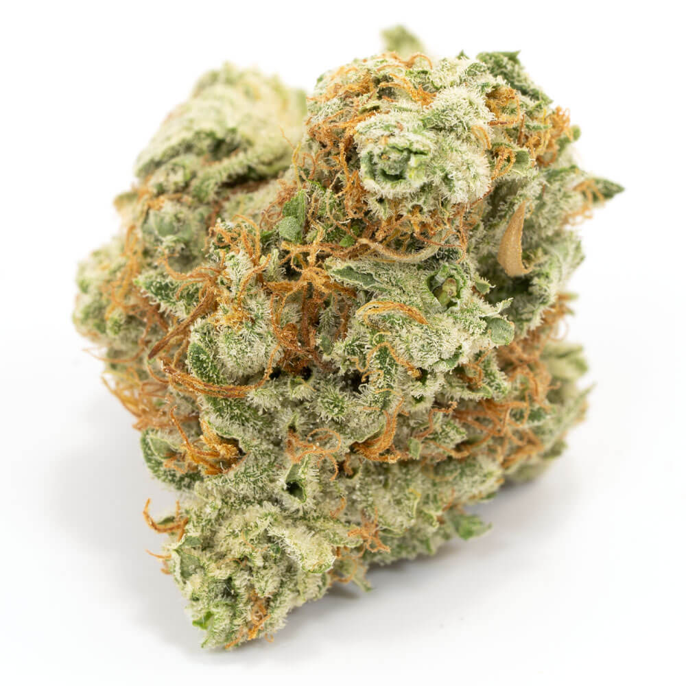 Buy Lemon Frost Hybrid Cannabis Weed Deadhead Chemist Online in Canada - Nupep Shrooms Buy Lemon Frost Hybrid Cannabis Weed Deadhead Chemist Online in Canada - Nupep Shrooms