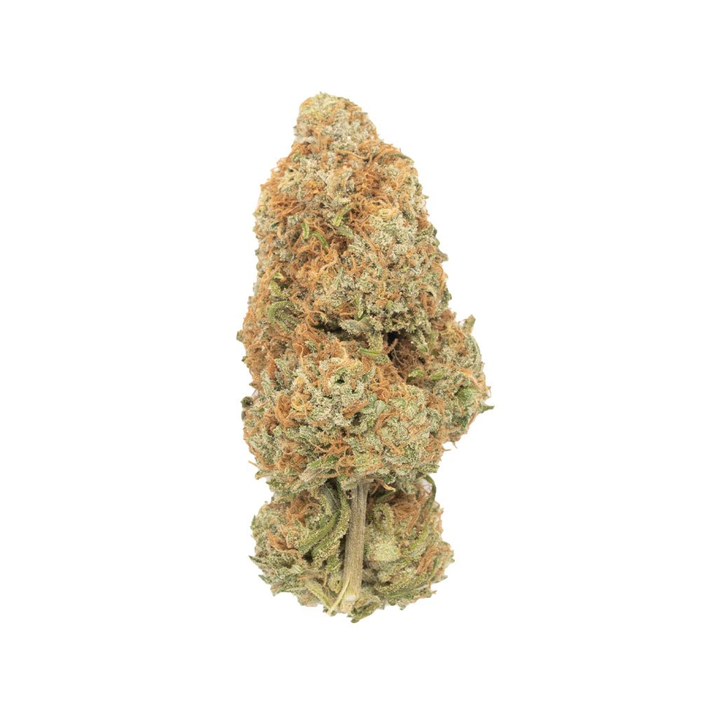 Buy Maui Wowie Hybrid Cannabis Weed Deadhead Chemist Online in Canada - Nupep Shrooms Buy Maui Wowie Hybrid Cannabis Weed Deadhead Chemist Online in Canada - Nupep Shrooms