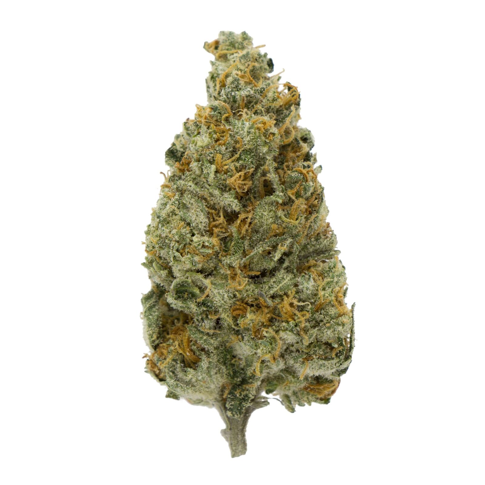 Buy Orange Barbara Hybrid Cannabis Weed Deadhead Chemist Online in Canada - Nupep Shrooms Buy Orange Barbara Hybrid Cannabis Weed Deadhead Chemist Online in Canada - Nupep Shrooms