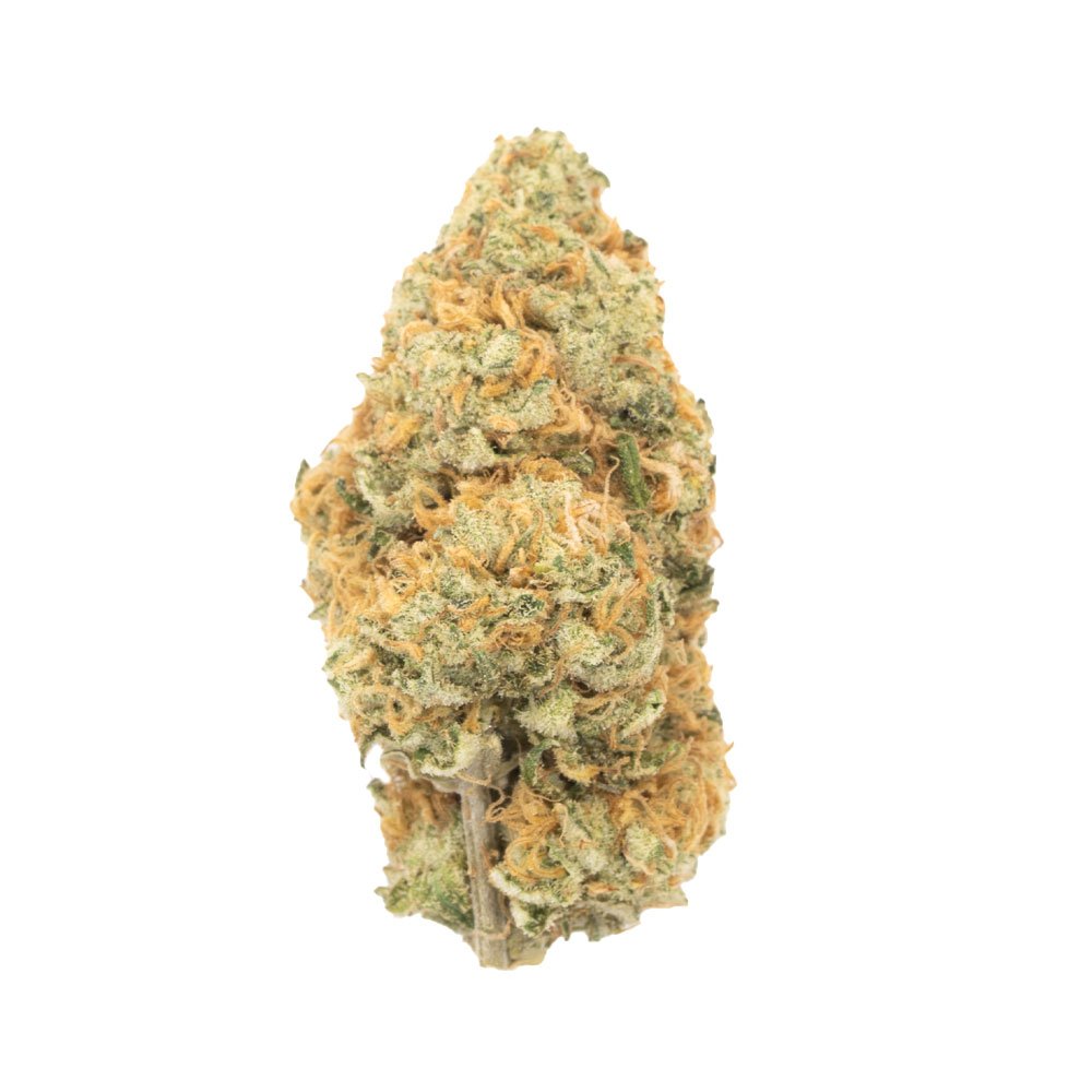 Buy Orange Cookies Sativa Cannabis Weed Deadhead Chemist Online in Canada - Nupep Shrooms Buy Orange Cookies Sativa Cannabis Weed Deadhead Chemist Online in Canada - Nupep Shrooms