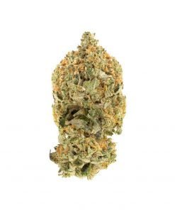 Buy Pink Kush Hybrid Cannabis Weed Deadhead Chemist Online in Canada - Nupep Shrooms
