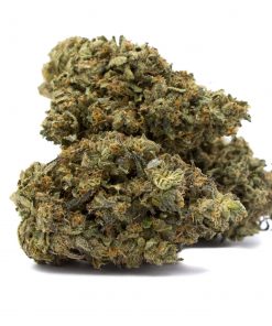 Buy Pink By Dubai Farms Hybrid Cannabis Weed Deadhead Chemist Online in Canada - Nupep Shrooms