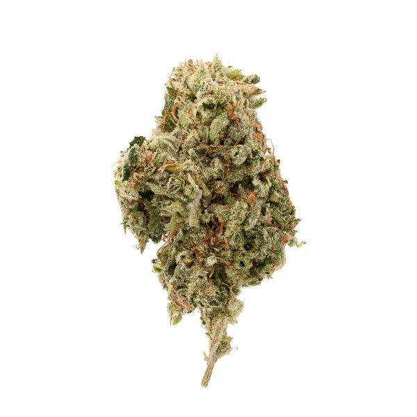 Buy Sour Amnesia Haze Sativa Cannabis Weed Deadhead Chemist Online in Canada - Nupep Shrooms Buy Sour Amnesia Haze Sativa Cannabis Weed Deadhead Chemist Online in Canada - Nupep Shrooms