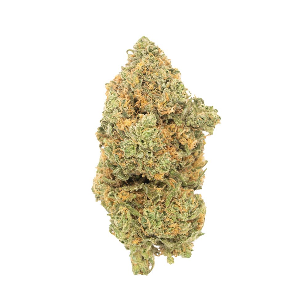 Buy Sour Diesel Sativa Cannabis Weed Deadhead Chemist Online in Canada - Nupep Shrooms Buy Sour Diesel Sativa Cannabis Weed Deadhead Chemist Online in Canada - Nupep Shrooms