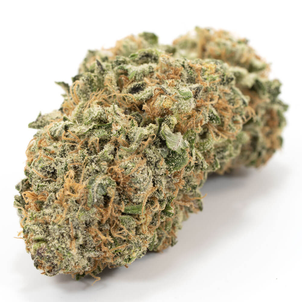 Buy Sugar Shack Hybrid Cannabis Weed Deadhead Chemist Online in Canada - Nupep Shrooms Buy Sugar Shack Hybrid Cannabis Weed Deadhead Chemist Online in Canada - Nupep Shrooms