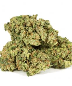 Buy Sweet Skunk Sativa Cannabis Weed Deadhead Chemist Online in Canada - Nupep Shrooms