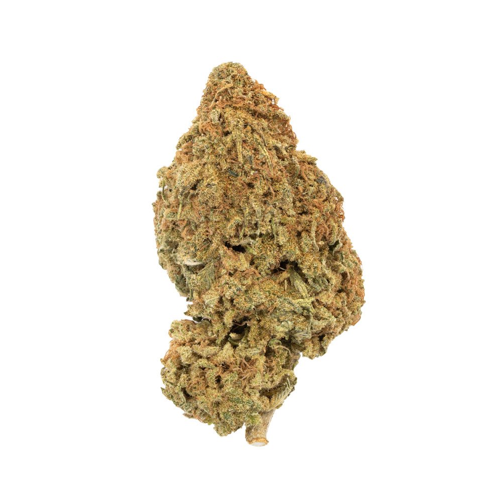 Buy Treasure Island Sativa Cannabis Weed Deadhead Chemist Online in Canada - Nupep Shrooms Buy Treasure Island Sativa Cannabis Weed Deadhead Chemist Online in Canada - Nupep Shrooms