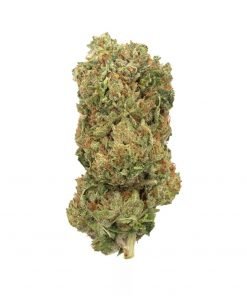 Buy Tuna Kush Indica Deadhead Chemist Online in Canada - Nupep Shrooms