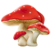 Buy Magic Mushrooms Canada - Nupep Shrooms Dispensary