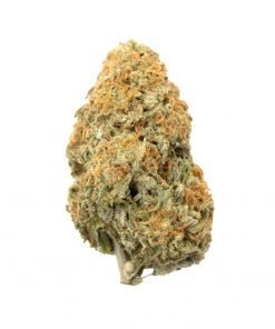 Buy Lemon Drop Hybrid Cannabis Weed Deadhead Chemist Online in Canada - Nupep Shrooms