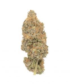 Buy Purple Haze Sativa Cannabis Weed Deadhead Chemist Online in Canada - Nupep Shrooms
