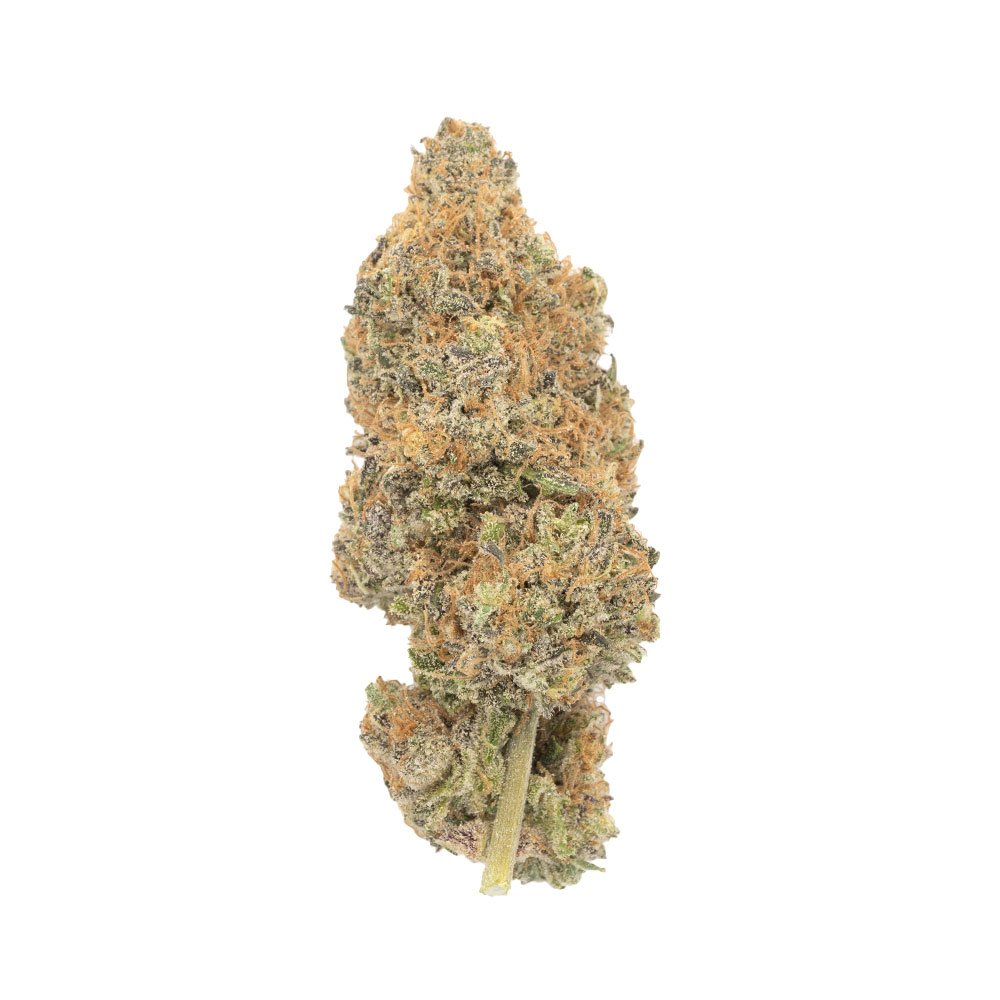 Buy Purple Haze Sativa Cannabis Weed Deadhead Chemist Online in Canada - Nupep Shrooms Buy Purple Haze Sativa Cannabis Weed Deadhead Chemist Online in Canada - Nupep Shrooms