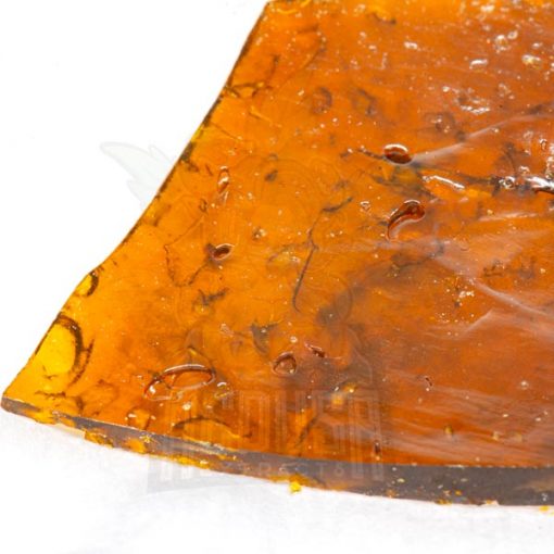 Buy Rockstar Shatter Medusa Extracts Online in Canada - Nupep Shrooms