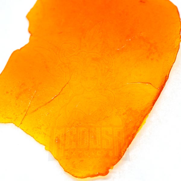 Buy Cookies & Cream Shatter Medusa Extracts Online in Canada - Nupep Shrooms Buy Cookies & Cream Shatter Medusa Extracts Online in Canada - Nupep Shrooms