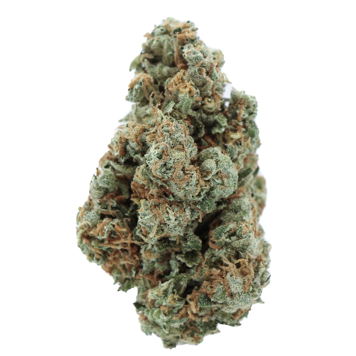 Buy Sour Ammnesia Sativa Cannabis Weed Deadhead Chemist Online in Canada - Nupep Shrooms Buy Sour Ammnesia Sativa Cannabis Weed Deadhead Chemist Online in Canada - Nupep Shrooms