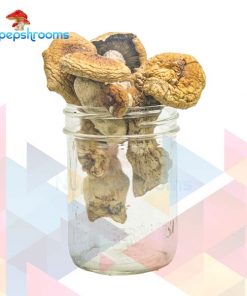 Buy F+ Magic Mushrooms Online in Canada - Nupep Shrooms