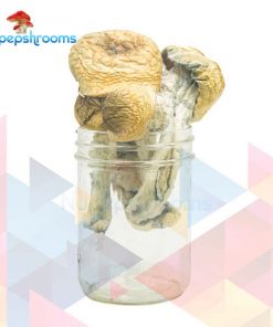 Buy Florida White Magic Mushrooms Online in Canada - Nupep Shrooms