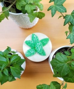 Buy CBD Move Gummies – Mint – 100mg CBD Online