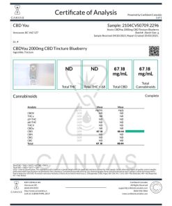 Buy CBDYou – Blueberry CBD Tincture 2000mg Online