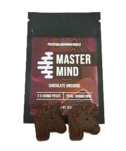 Buy Mastermind – Shroomicorn Chocolate (2x500mg) Online