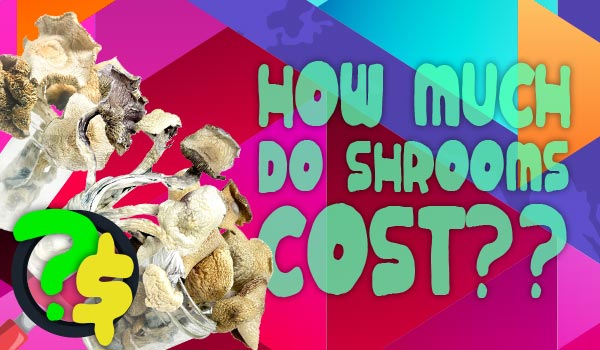 How Much Do Shrooms Cost? - Nupep Shrooms Dispensary