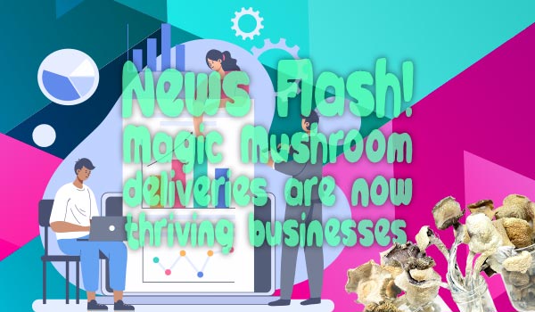 News Flash! Magic Mushroom deliveries are now thriving businesses
