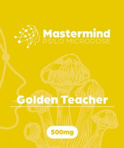 Buy Mastermind Psilo Golden Teacher Microdose Online